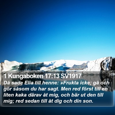 1 Kungaboken 17:13 SV1917 Bible Verse Image