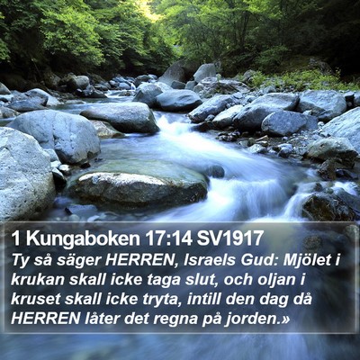 1 Kungaboken 17:14 SV1917 Bible Verse Image