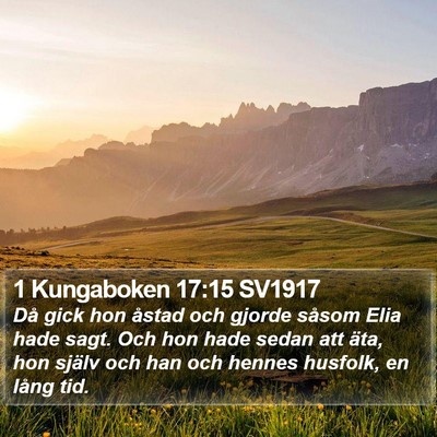 1 Kungaboken 17:15 SV1917 Bible Verse Image