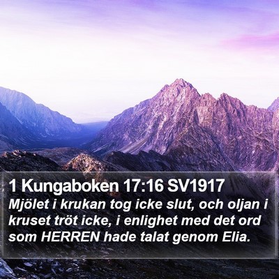 1 Kungaboken 17:16 SV1917 Bible Verse Image