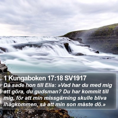 1 Kungaboken 17:18 SV1917 Bible Verse Image