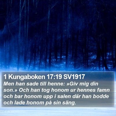 1 Kungaboken 17:19 SV1917 Bible Verse Image