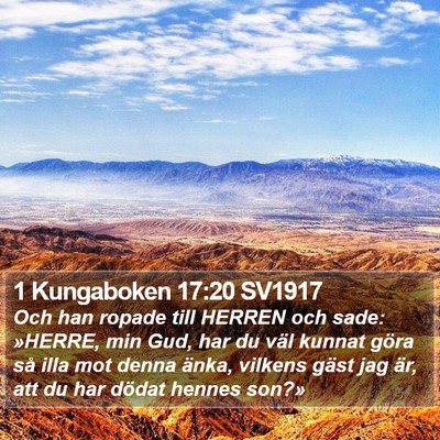 1 Kungaboken 17:20 SV1917 Bible Verse Image