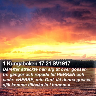 1 Kungaboken 17:21 SV1917 Bible Verse Image