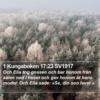 1 Kungaboken 17:23 SV1917 Bible Verse Image