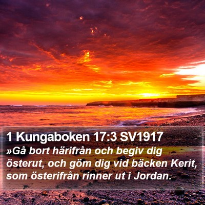 1 Kungaboken 17:3 SV1917 Bible Verse Image