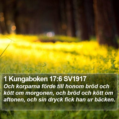 1 Kungaboken 17:6 SV1917 Bible Verse Image