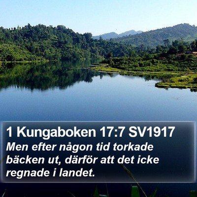 1 Kungaboken 17:7 SV1917 Bible Verse Image
