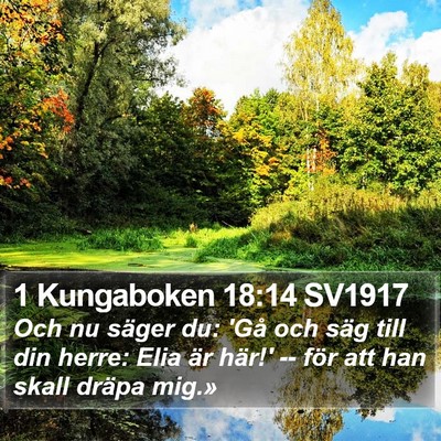 1 Kungaboken 18:14 SV1917 Bible Verse Image