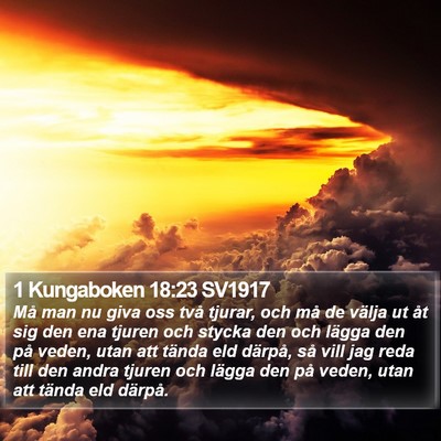 1 Kungaboken 18:23 SV1917 Bible Verse Image