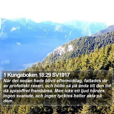 1 Kungaboken 18:29 SV1917 Bible Verse Image