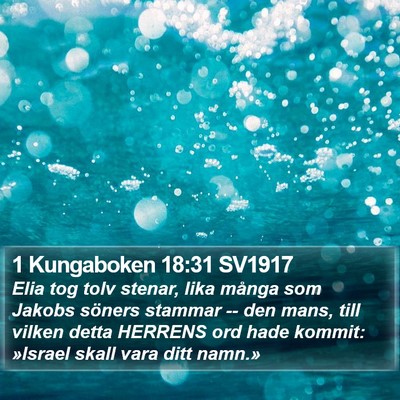 1 Kungaboken 18:31 SV1917 Bible Verse Image