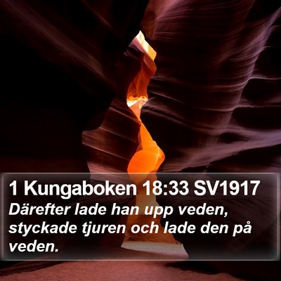1 Kungaboken 18:33 SV1917 Bible Verse Image