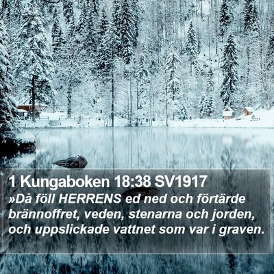 1 Kungaboken 18:38 SV1917 Bible Verse Image