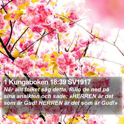 1 Kungaboken 18:39 SV1917 Bible Verse Image