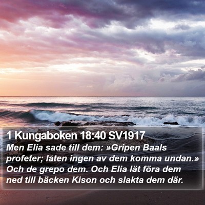 1 Kungaboken 18:40 SV1917 Bible Verse Image