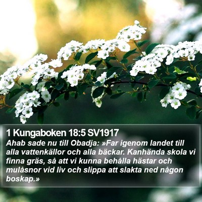 1 Kungaboken 18:5 SV1917 Bible Verse Image