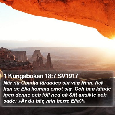 1 Kungaboken 18:7 SV1917 Bible Verse Image