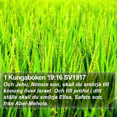 1 Kungaboken 19:16 SV1917 Bible Verse Image