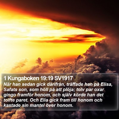 1 Kungaboken 19:19 SV1917 Bible Verse Image