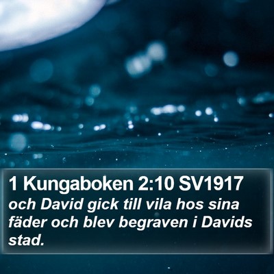 1 Kungaboken 2:10 SV1917 Bible Verse Image