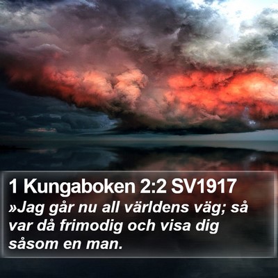 1 Kungaboken 2:2 SV1917 Bible Verse Image