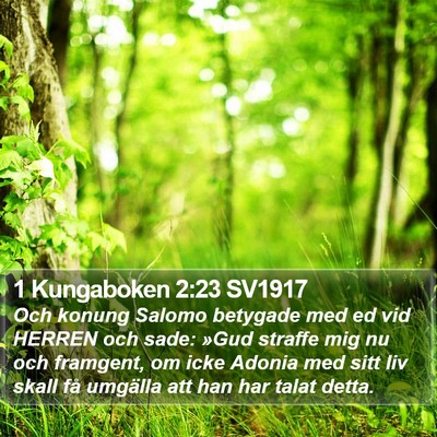1 Kungaboken 2:23 SV1917 Bible Verse Image