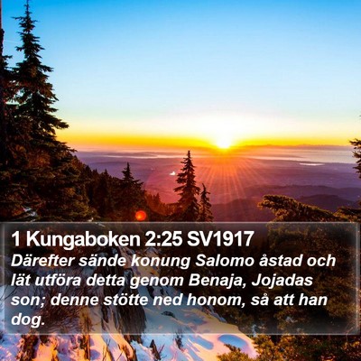 1 Kungaboken 2:25 SV1917 Bible Verse Image
