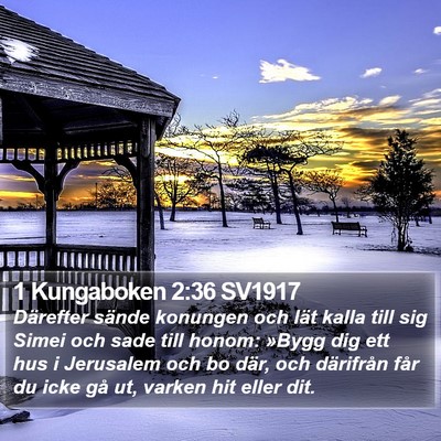 1 Kungaboken 2:36 SV1917 Bible Verse Image