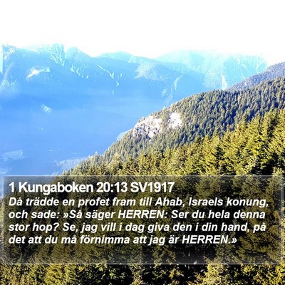 1 Kungaboken 20:13 SV1917 Bible Verse Image