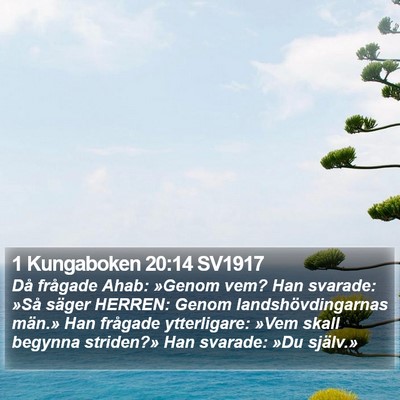 1 Kungaboken 20:14 SV1917 Bible Verse Image