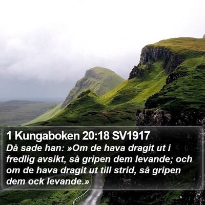 1 Kungaboken 20:18 SV1917 Bible Verse Image