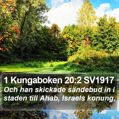 1 Kungaboken 20:2 SV1917 Bible Verse Image