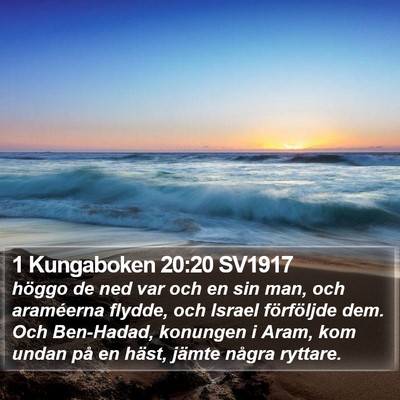 1 Kungaboken 20:20 SV1917 Bible Verse Image