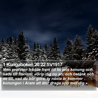 1 Kungaboken 20:22 SV1917 Bible Verse Image