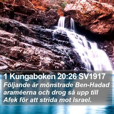 1 Kungaboken 20:26 SV1917 Bible Verse Image