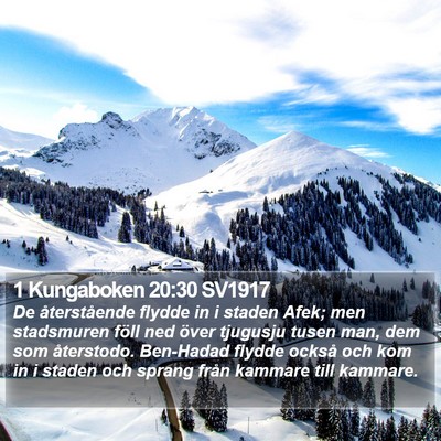 1 Kungaboken 20:30 SV1917 Bible Verse Image