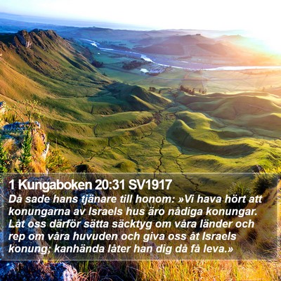 1 Kungaboken 20:31 SV1917 Bible Verse Image