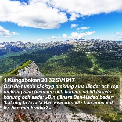 1 Kungaboken 20:32 SV1917 Bible Verse Image