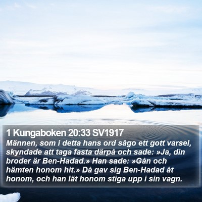 1 Kungaboken 20:33 SV1917 Bible Verse Image