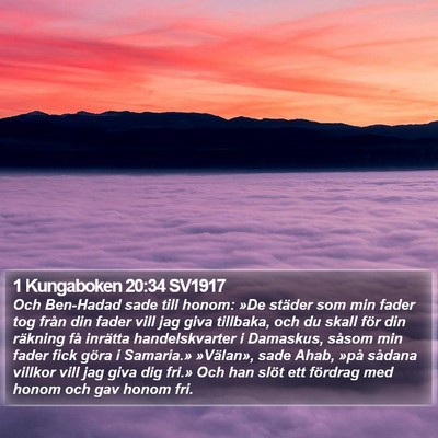 1 Kungaboken 20:34 SV1917 Bible Verse Image