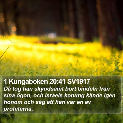 1 Kungaboken 20:41 SV1917 Bible Verse Image