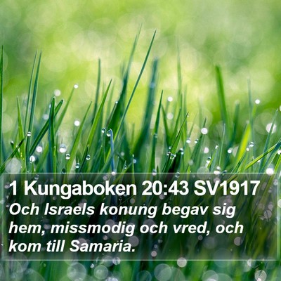 1 Kungaboken 20:43 SV1917 Bible Verse Image