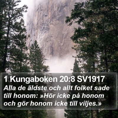 1 Kungaboken 20:8 SV1917 Bible Verse Image