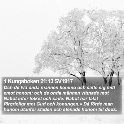 1 Kungaboken 21:13 SV1917 Bible Verse Image