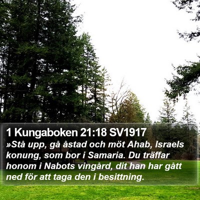 1 Kungaboken 21:18 SV1917 Bible Verse Image