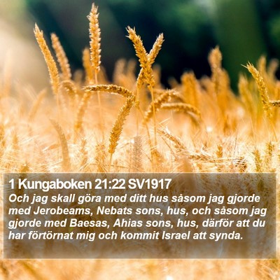 1 Kungaboken 21:22 SV1917 Bible Verse Image