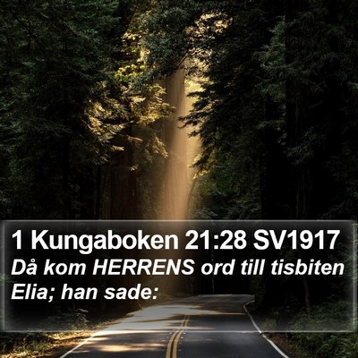 1 Kungaboken 21:28 SV1917 Bible Verse Image