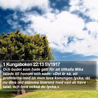 1 Kungaboken 22:13 SV1917 Bible Verse Image