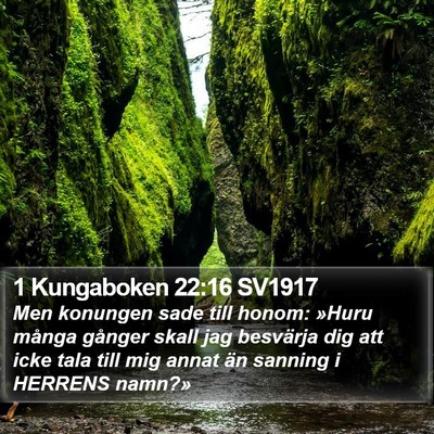 1 Kungaboken 22:16 SV1917 Bible Verse Image
